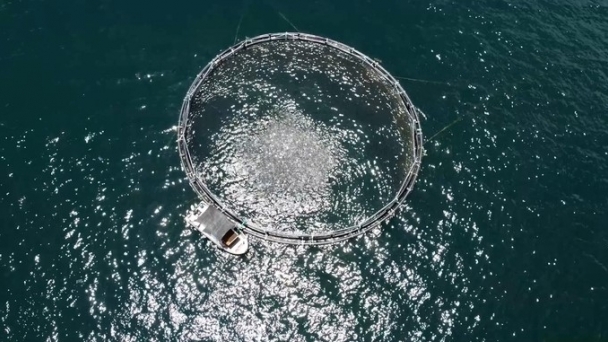 Vocational training is the 'key' to developing sustainable industrial marine farming